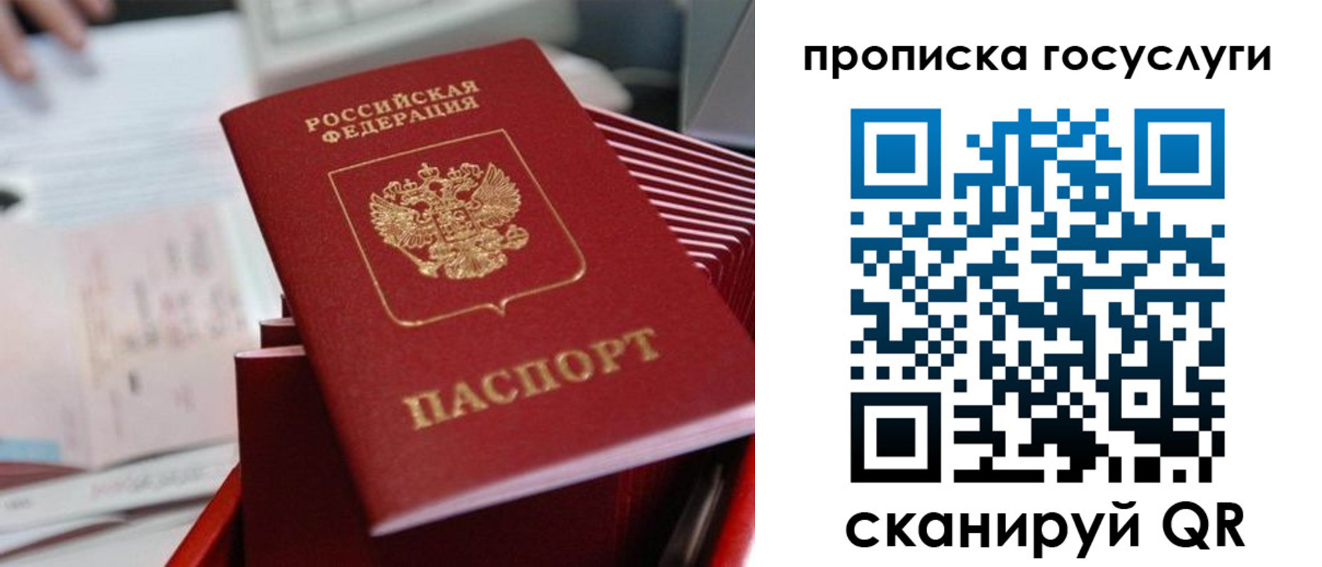 прописка законно в Шатуре